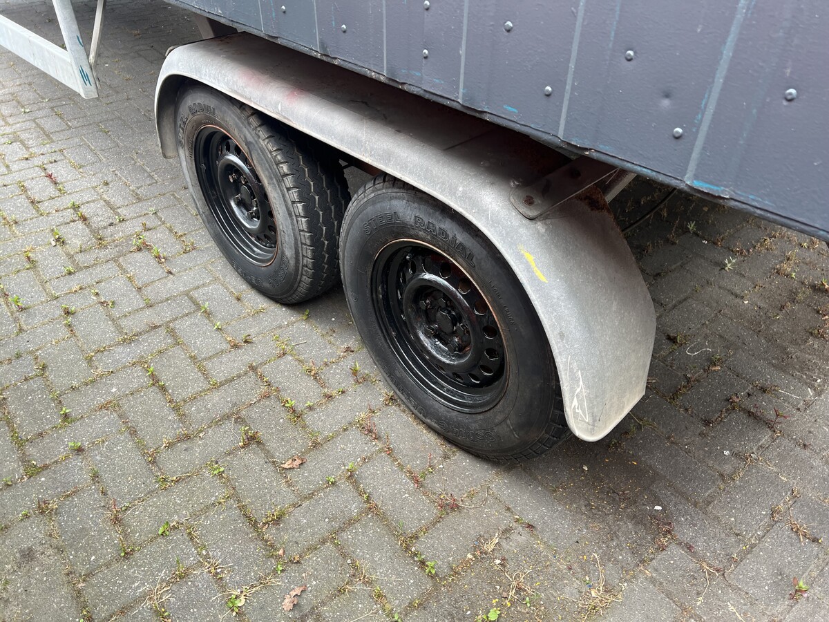 Afbeelding 12